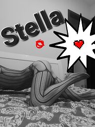 Stella, Trnava, 29 rokov