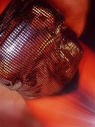 Erotic Sensual, Trnava, 40 rokov