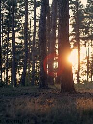 Rozálie Tantra, Košice - Sídlisko KVP, 40 rokov