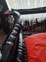 Lady Kelly, Bratislava - Staré Mesto, 47 rokov