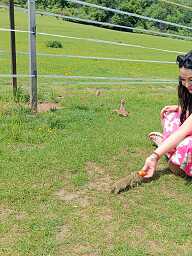 Všetko v Cene, Kezmarok, 20 years