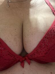 Normalna Vanila (45), Bratislava - ostatné, ID:30887