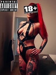 Líštička (29), Bratislava - Staré Mesto, ID:11343