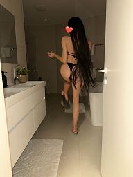 Trans Alina (21), Bratislava - Ružinov, ID:28686