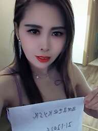 Camellia (25), Martin, ID:31096