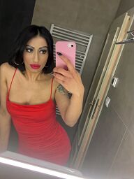 Sima (32), Bratislava - Stare Mesto, ID:31142