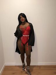 Amaya Trans Xl, Bratislava - Staré Mesto, 25 rokov