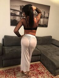 Kitty Trans (27), Bratislava - Nové Mesto, ID:33721