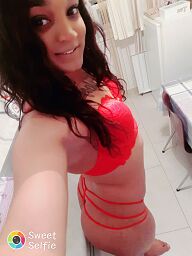 Trans Zara (25), Bratislava - Petržalka, ID:33656