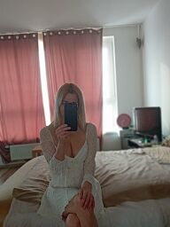 Miška GFE (38), Bratislava - Staré Mesto, ID:29637